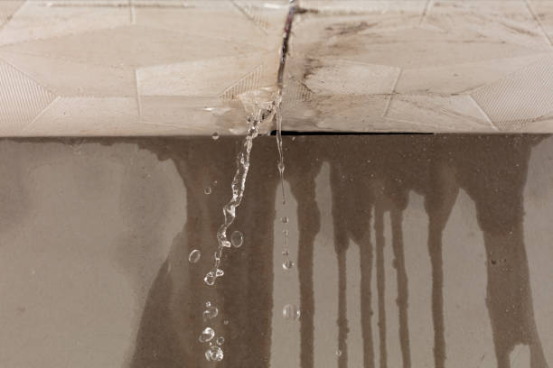 Professional Burst Pipe Cleanup technician working in Greendale, IN